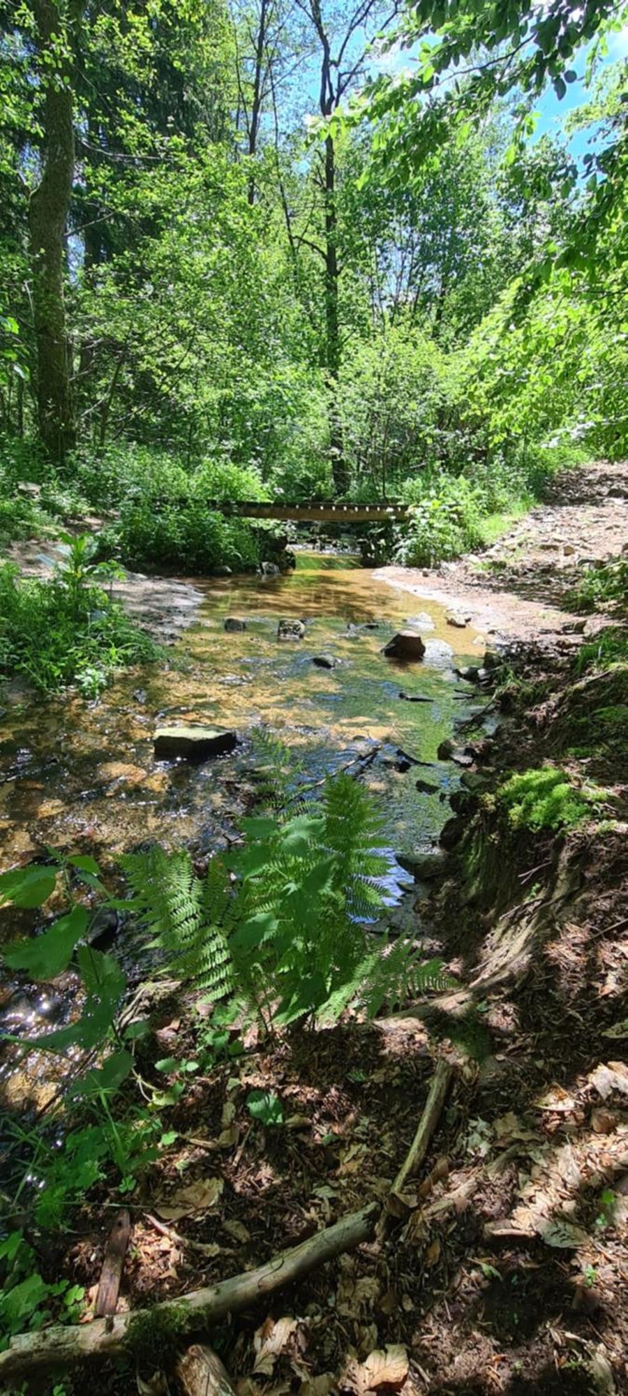 Gites Domaine De Silhac Ardeche Eksteriør bilde